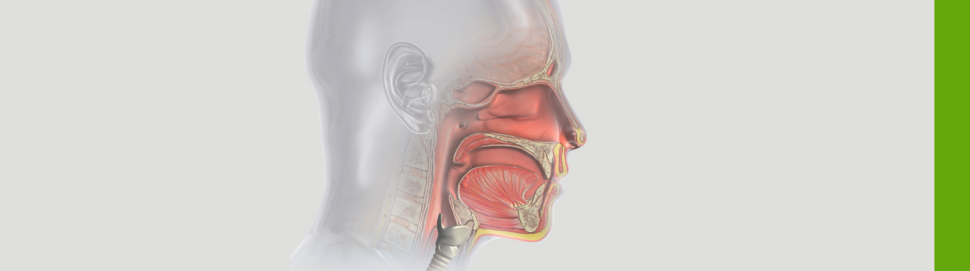 Laryngoscopy